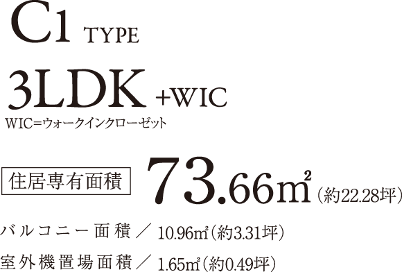 C1 TYPE