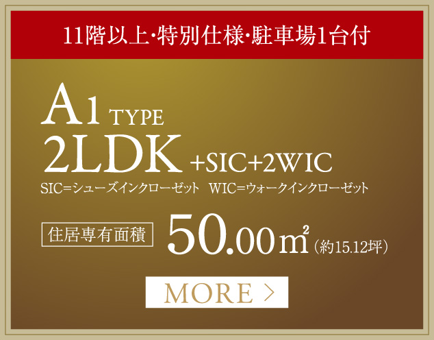 A1タイプ